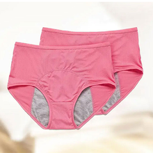 Load image into Gallery viewer, Grishay Leakproof Underwear