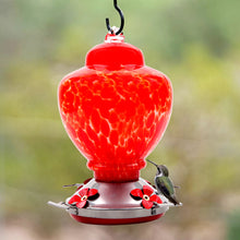 Load image into Gallery viewer, Hand Blown Glass Hummingbird Feeder - 38 Ounces